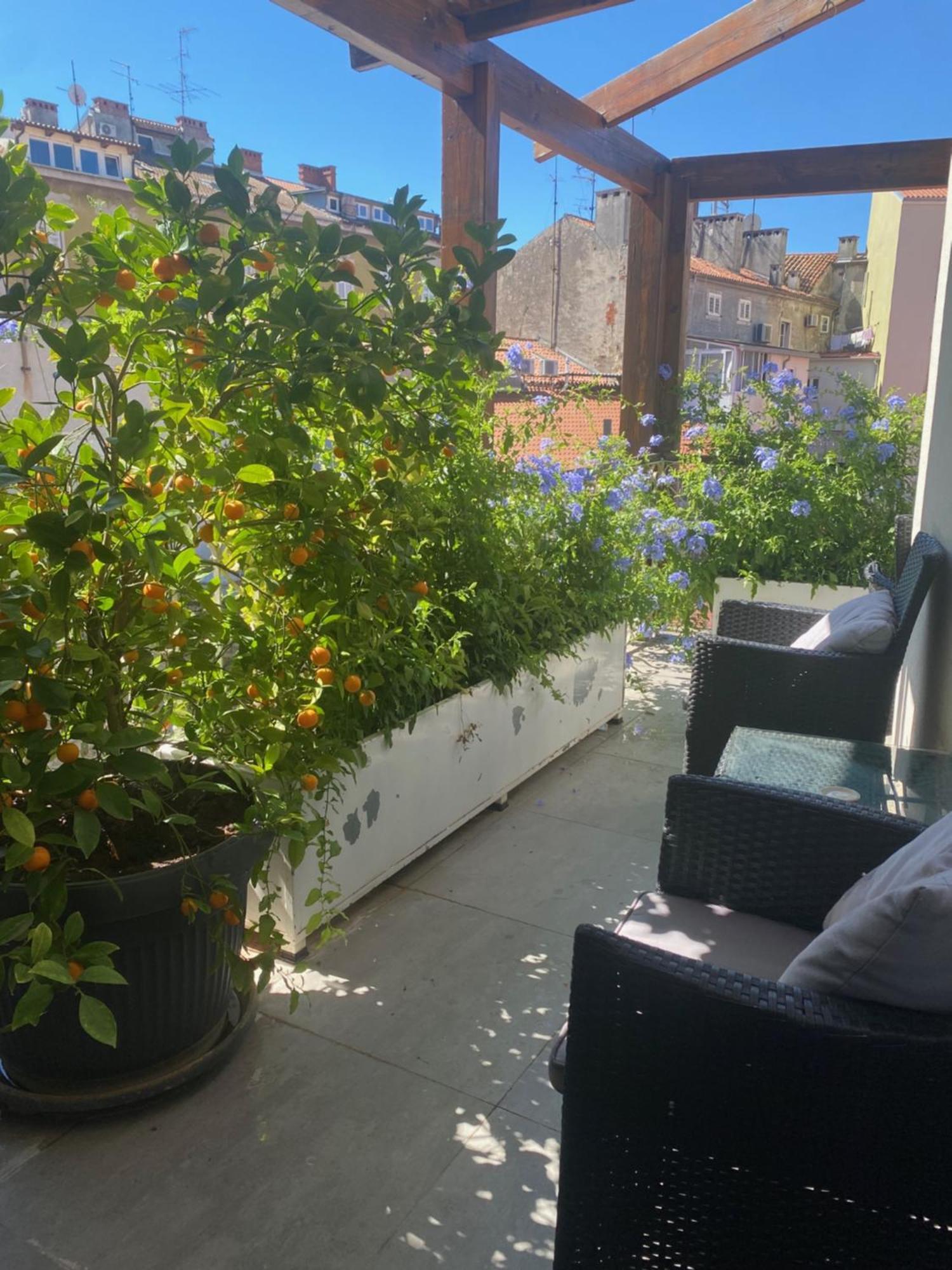 PUY Appartment In Center With Parking מראה חיצוני תמונה